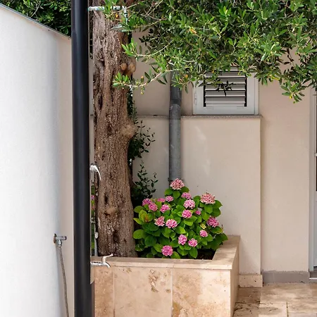 Haus Helga Apartamento *