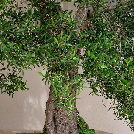 Haus Helga Appartement Rab Town